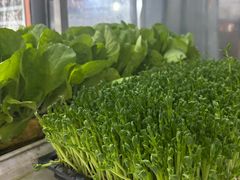 -阳光山水江湖菜馆(西山龙门店)