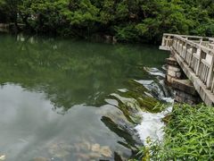 -花溪公园