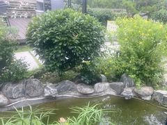 -蘇河湾·新鲁菜·泰山宴(泰山店)