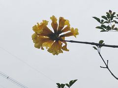 -云洞岩风景区