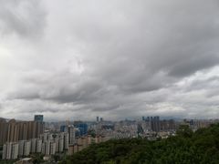 -金鸡山公园