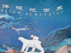 -蓬莱欧乐堡海洋极地世界