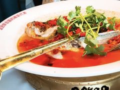 -坛宗剁椒鱼头(河西王府井店)