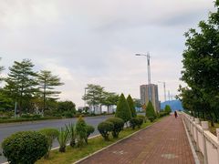 -飞来湖湿地公园