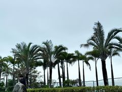 -黄金海岸环岛路