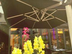 -blue frog蓝蛙(长泰广场店)