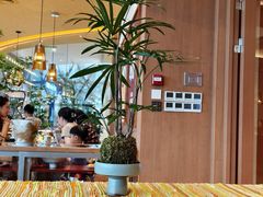 -蛙小侠(珠海华发商都店)