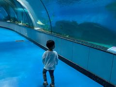 -泉城欧乐堡海洋极地世界