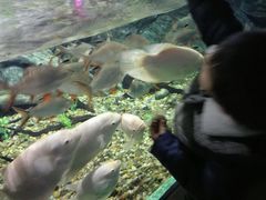 -常州海昌海洋探索馆