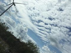 -黄海国家森林公园