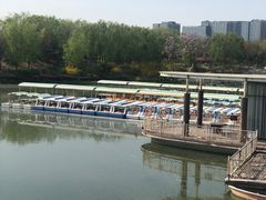 -大兴滨河森林公园