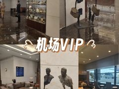 -谢列梅捷沃国际机场