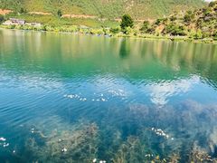-丽江泸沽湖景区-里格半岛