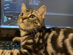 -美联众合动物医院(·中兽医·疑难杂症·严家桥分院)