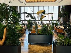 -北京东三环希尔顿逸林酒店