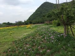 -贵阳市花溪国家城市湿地公园