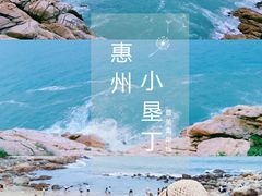 -广东惠东海龟国家级自然保护区