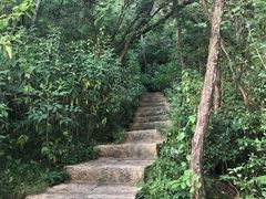 -仙岳公园