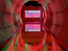 -正佳自然科学博物馆