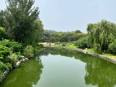 -大兴滨河森林公园