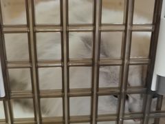 -虹泰宠物医院 ·旗舰店·24h(南秀路店)