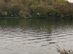 -儒之堂足道·SPA·推拿(莫干山路店)