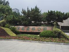 -济南森林公园