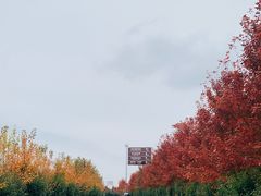 -南京枫彩漫城