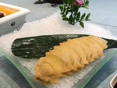 -宝燕壹号(徐汇店)