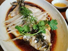-宁波柏悦酒店·钱湖渔港