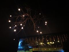 -土蚝·高压锅生蚝(百姓美食街店)