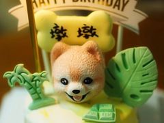 宠物蛋糕-BABYDOG宝贝狗宠物乐园(欧洲城店)