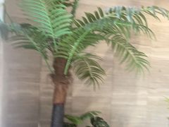 -唐宫足道·SPA·住宿24H会所(木渎店)