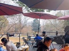 -鸡鸣汤包(红山动物园店)