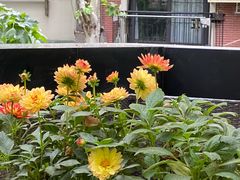 -Pasha帕夏土耳其餐厅(南昌路店)