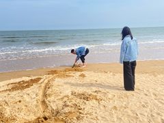 -日照海滨国家森林公园