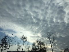 -三圣花乡旅游区