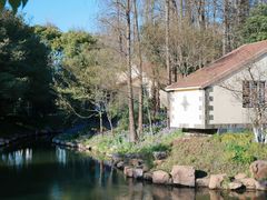 -上海共青森林公园