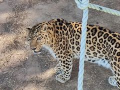 -西霞口神雕山野生动物世界