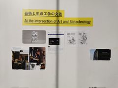 -金泽21世纪美术馆