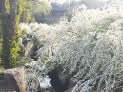 -中国茶叶博物馆(双峰馆区)