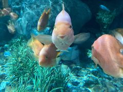 -福州罗源湾海洋世界旅游区