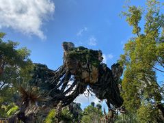 -奥兰多迪士尼动物王国乐园