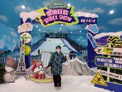 -世界之窗阿尔卑斯冰雪世界