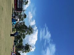 -春花秋色城市公园