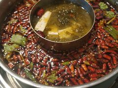 -蛙两只美蛙鱼头火锅(恒茂店)