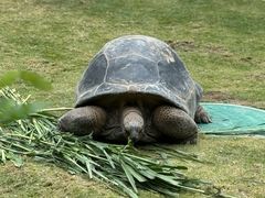 -珠海长隆海洋王国