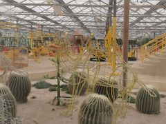 -南宫五洲植物乐园