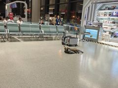 -翼蓝数码(虹桥机场T2店)