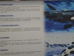 -上海海洋大学鱼文化博物馆(军工路校区)